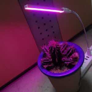아이티알,NL 5v USB 전원용 식물성장용 2.5W LED모듈 12cm